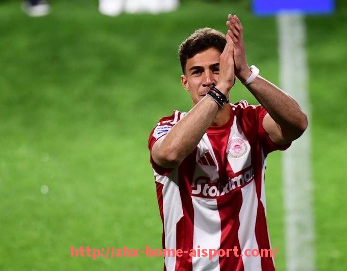 爱体育-法甲联赛组织结构及管理机制研究报告